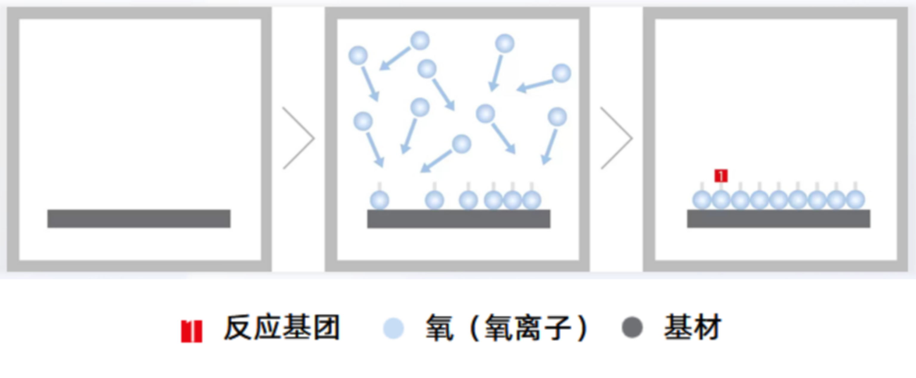 1733795147614042.png 3025974b41faaca232ab87a1d58ce599.png